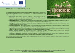 Gödöllő Város Önkormányzata - Energiahatékonysági javaslatok - TOP_PLUSZ-2.1.1-21-PT1-2022-00006