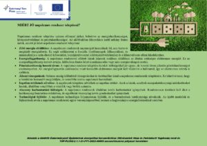 Gödöllő Város Önkormányzata - Energiahatékonysági javaslatok - TOP_PLUSZ-2.1.1-21-PT1-2022-00006
